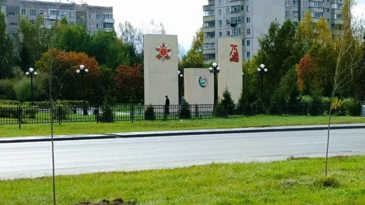 На улице Одоевского высадили 40 десятилетних пирамидальных тополей — Новосибирск Сейчас