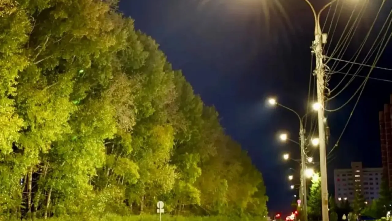 В Новосибирске заменили около 20 тысяч ламп и обновили более 59 км линий освещения — Новосибирск Сейчас