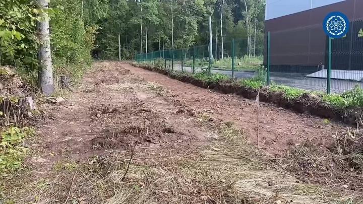 В Обнинске обустраивают площадку для выгула и дрессировки собак
