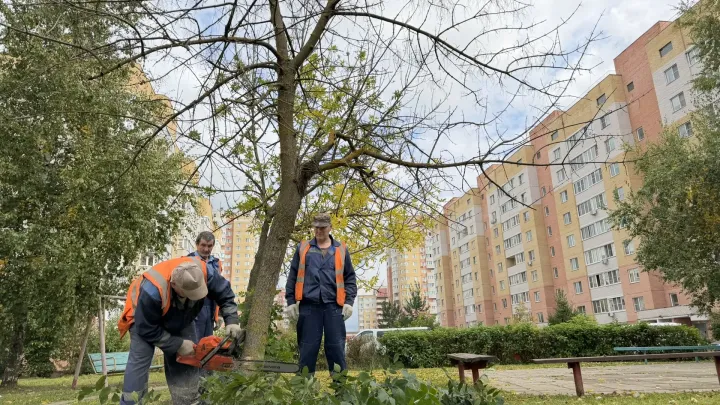 В Обнинске удалят 17 аварийных деревьев на нескольких улицах
