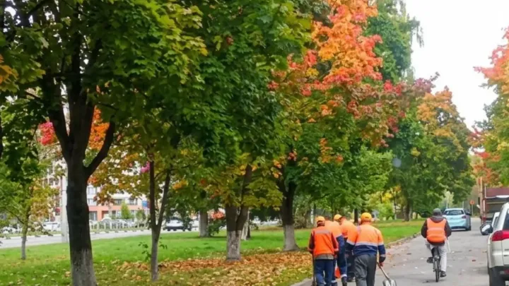 В Обнинске за неделю вывезли 4 кубометра листвы — Настоящий Обнинск