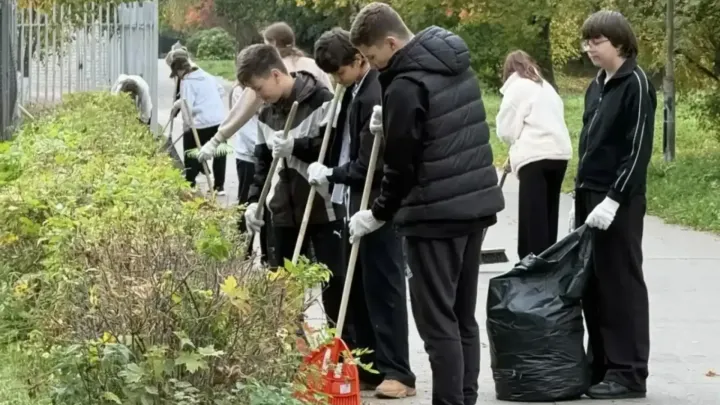 В Обнинске за неделю провели 22 субботника и вывезли 195 кубометров мусора — Настоящий Обнинск