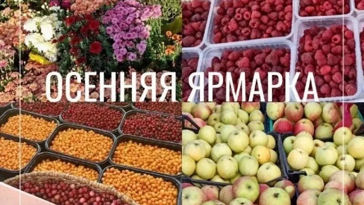 3 октября в Обнинске пройдёт осенняя сельскохозяйственная ярмарка — Настоящий Обнинск