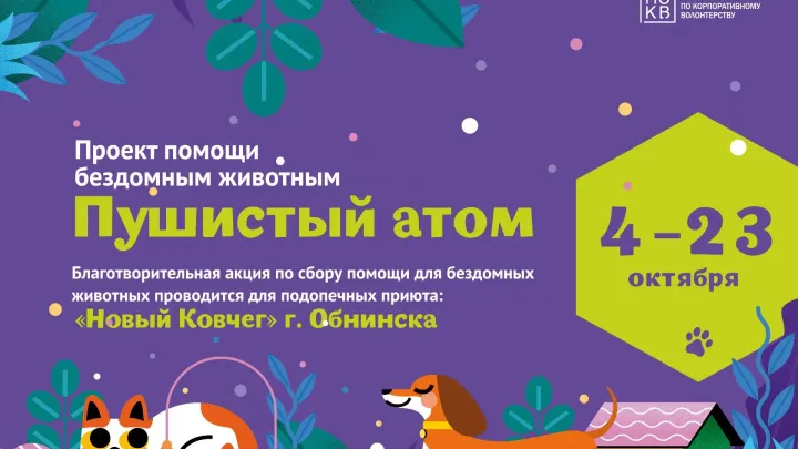 В ИАТЭ проходит акция по сбору помощи для приютов для животных — Настоящий Обнинск