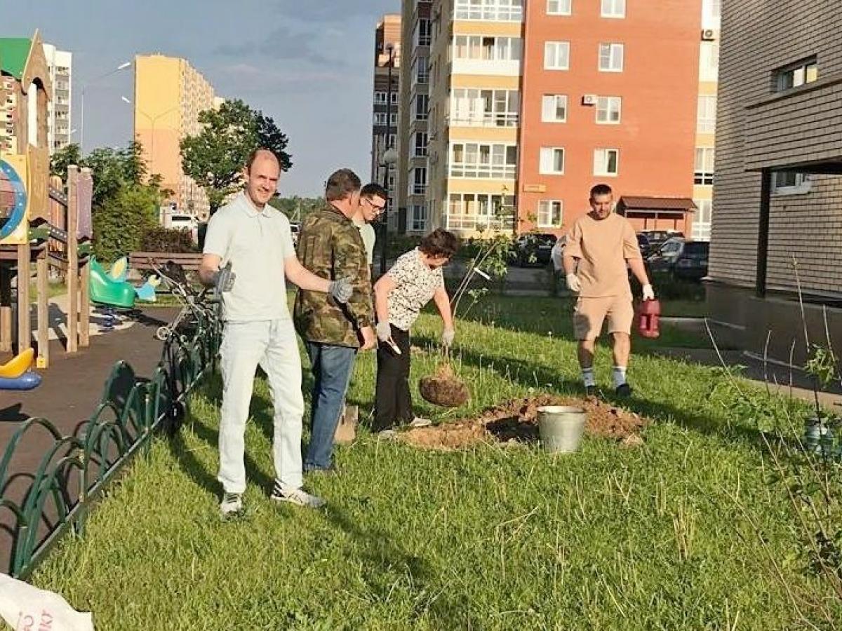 "1000 деревьев Обнинску": ТОС озеленяют город — Настоящий Обнинск