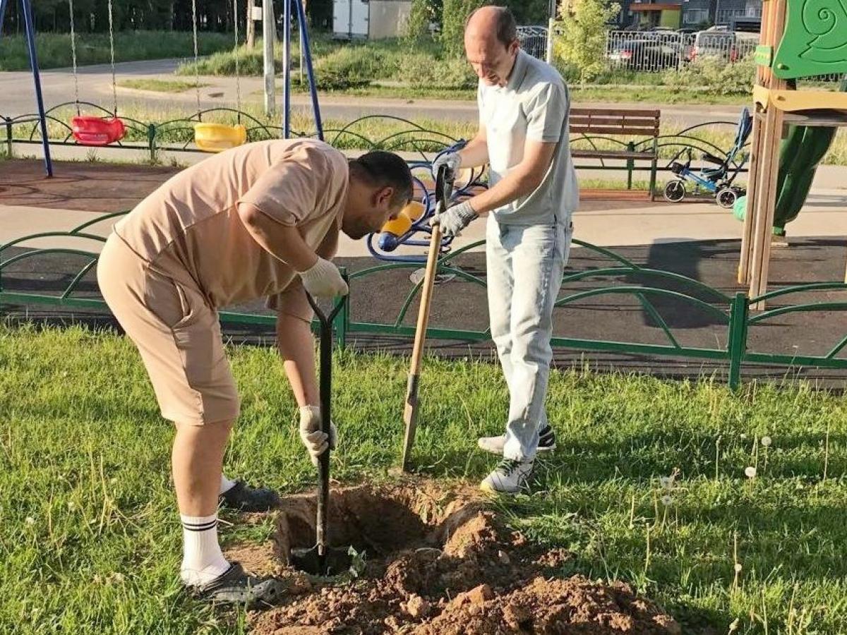 "1000 деревьев Обнинску": ТОС озеленяют город — Настоящий Обнинск