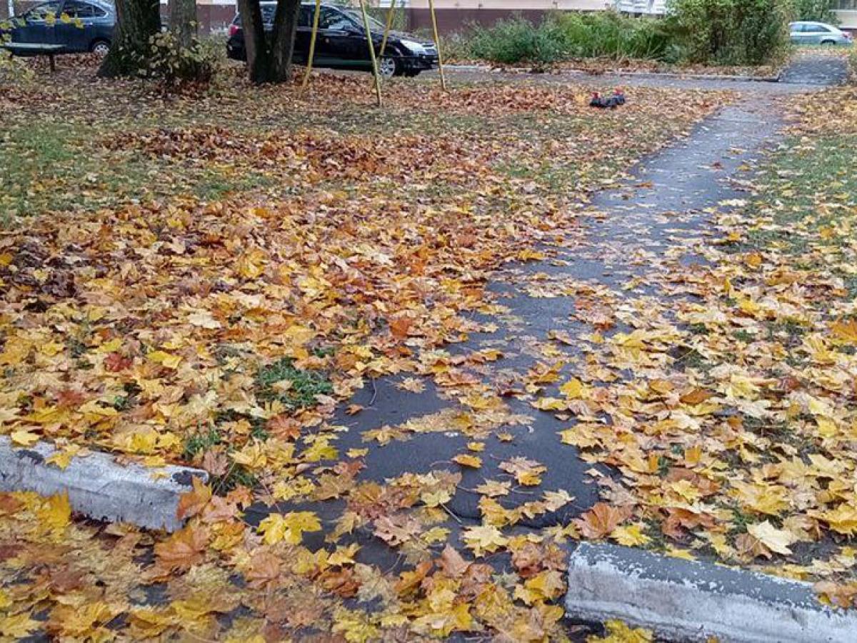 Тротуар в Старом городе обновили по заявке ТОС — Настоящий Обнинск
