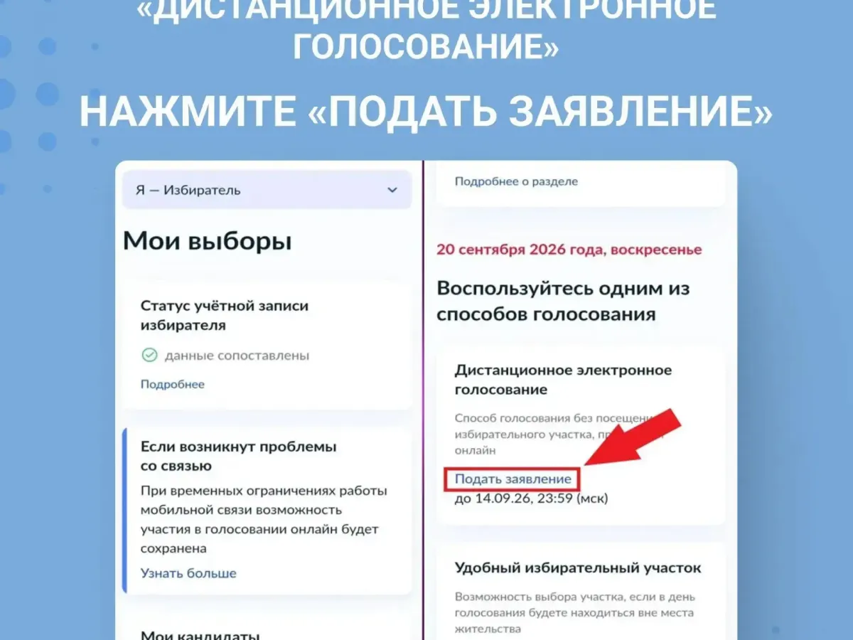 Жители Калужской области смогут проголосовать на выборах в Госдуму дистанционно