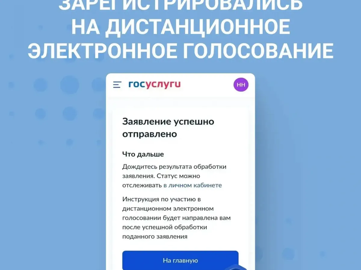Жители Калужской области смогут проголосовать на выборах в Госдуму дистанционно