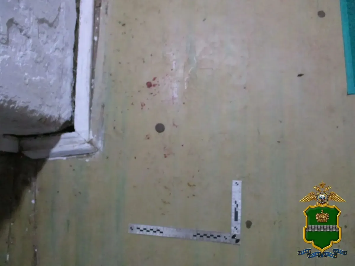 В Калужской области женщину заключили под стражу по делу о покушении на убийство