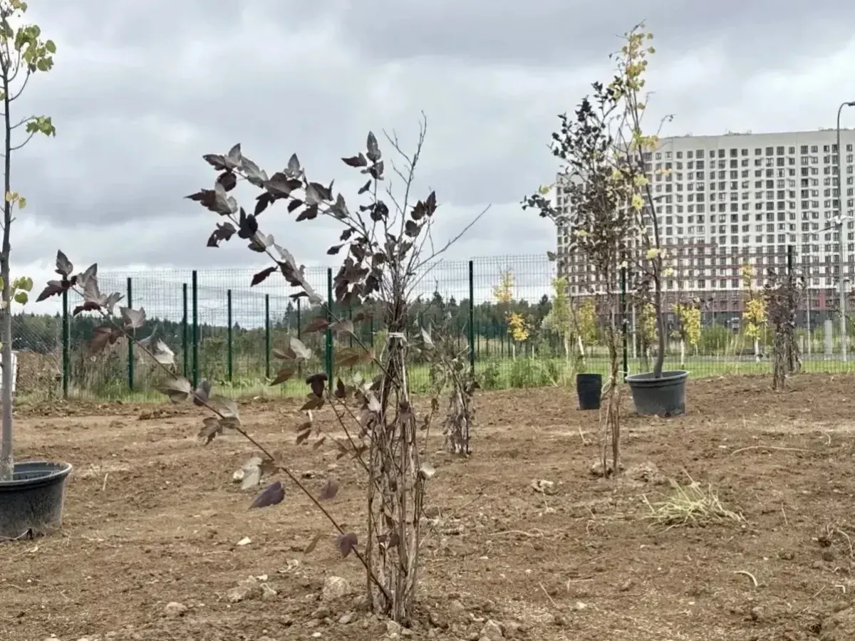 В Обнинске продолжают обустраивать беговой и фиджитал-центры