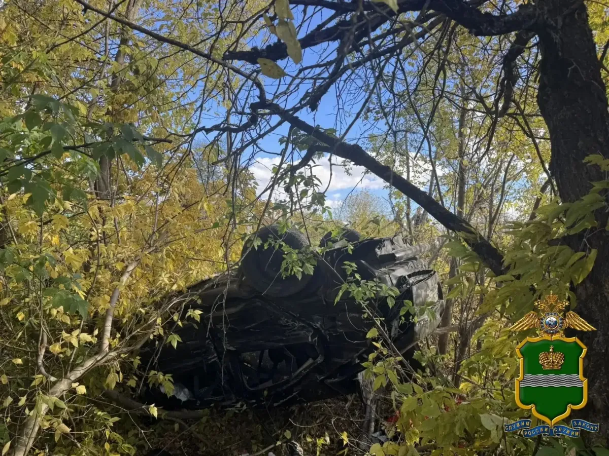 В Ферзиковском округе в ДТП с «КАМАЗом» погибли два пассажира «Шкоды»