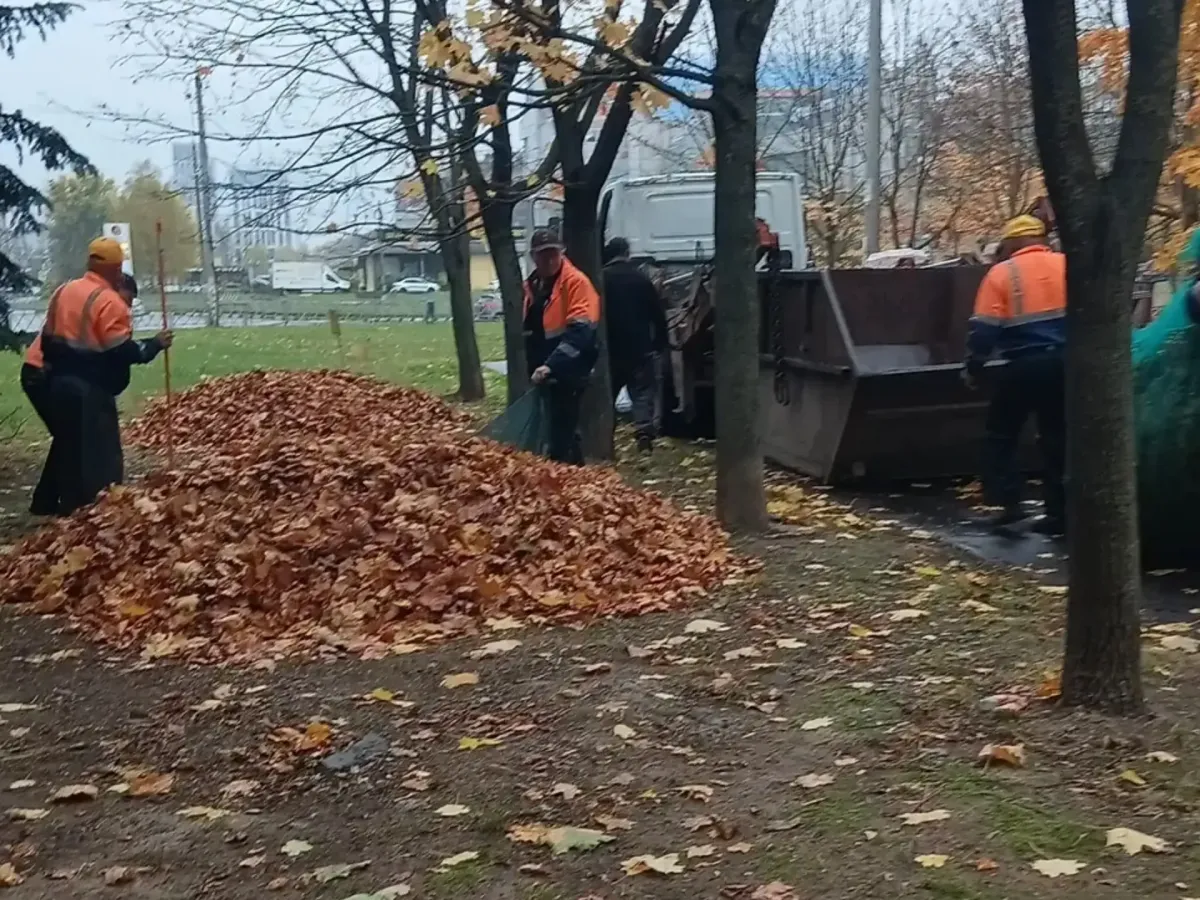 За неделю в городе вывезли 257 кубометров опавшей листвы