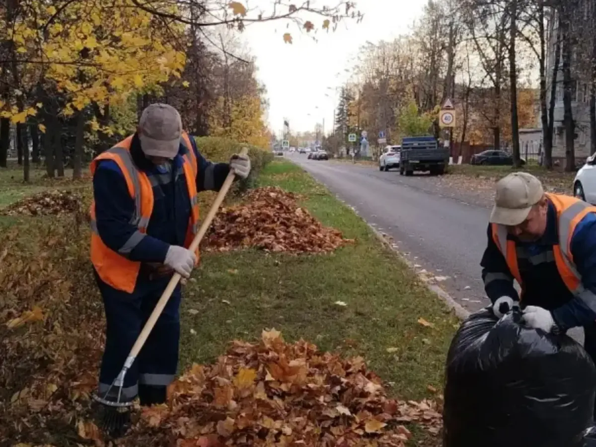 За неделю в городе вывезли 257 кубометров опавшей листвы