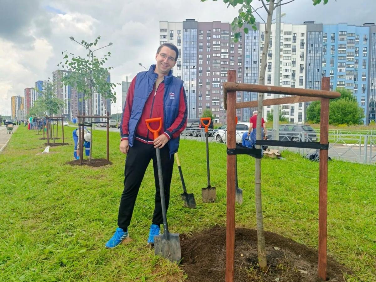 Посадка деревьев на улице Табулевича — Настоящий Обнинск