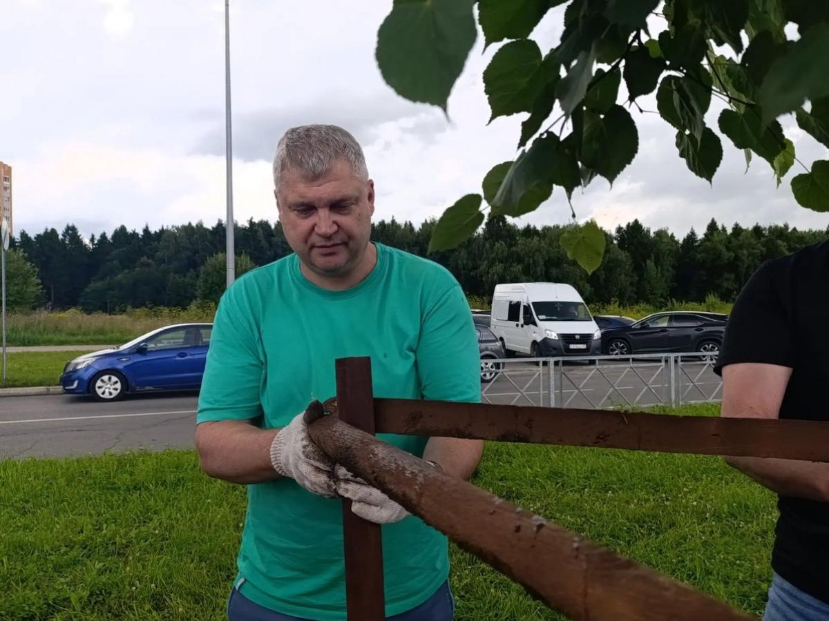 Посадка деревьев на улице Табулевича — Настоящий Обнинск