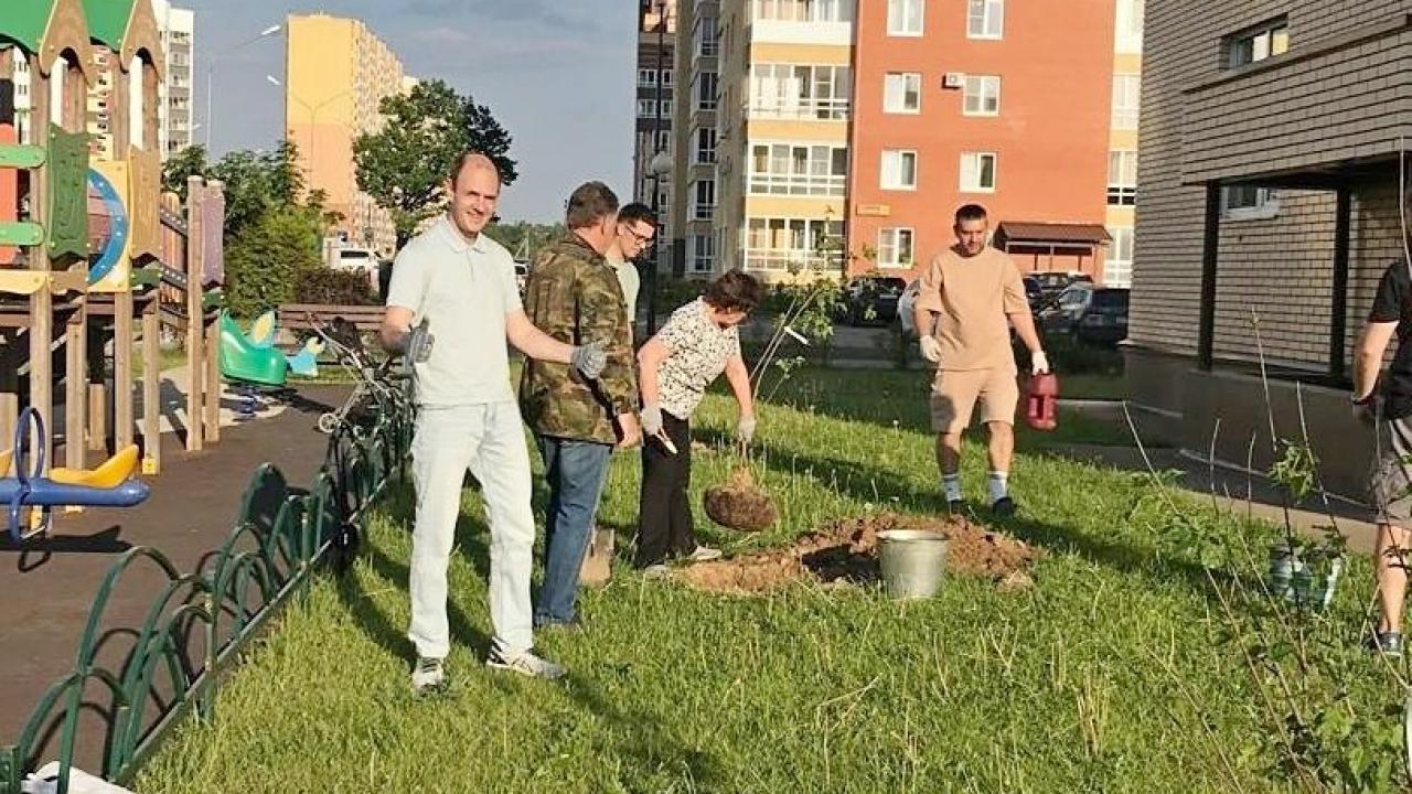"1000 деревьев Обнинску": ТОС озеленяют город — Настоящий Обнинск
