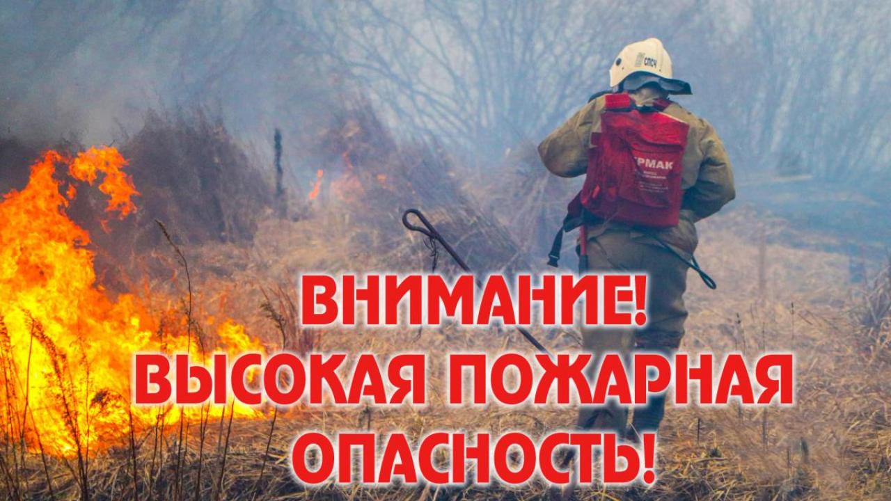 Особый противопожарный режим установлен в трех муниципалитетах Калужской области — Настоящий Обнинск