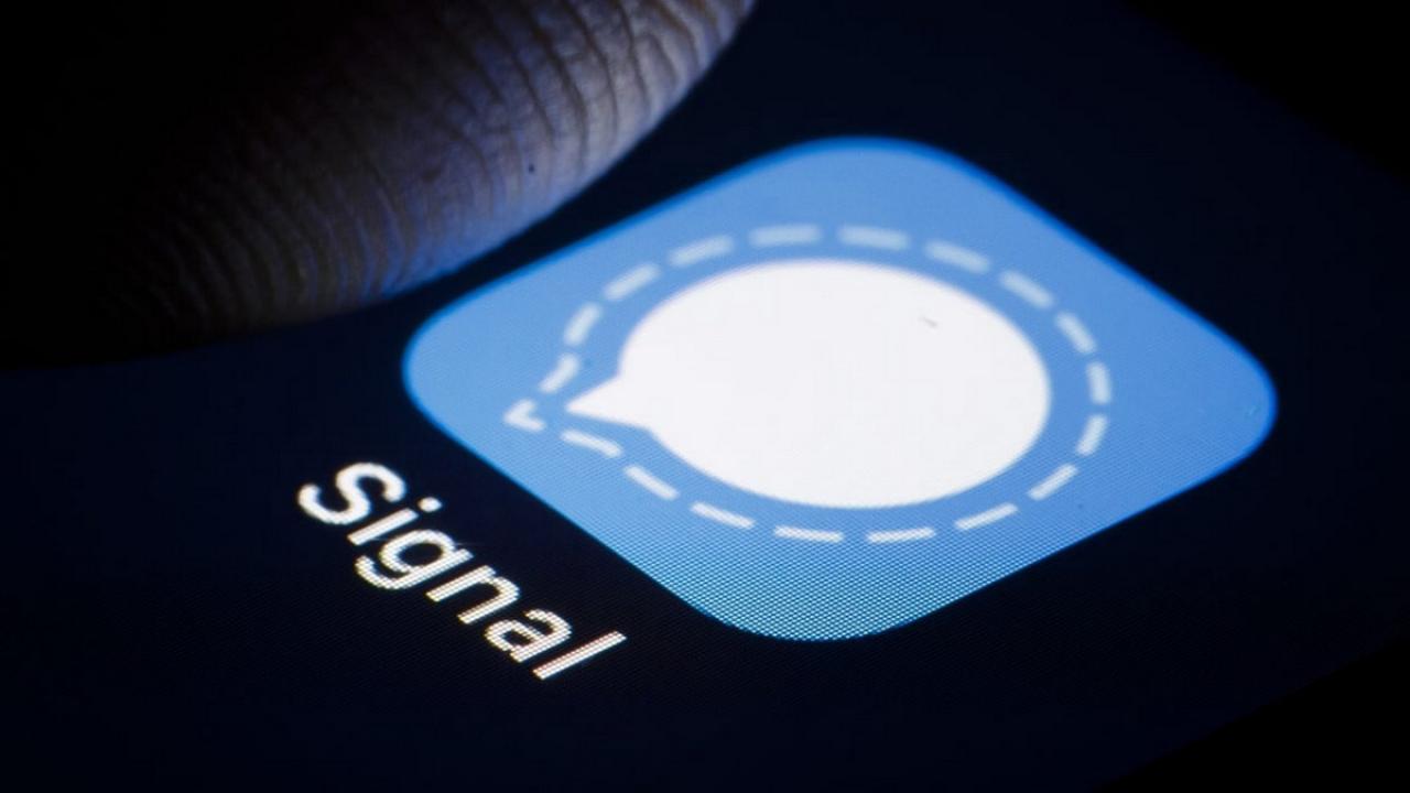 Роскомнадзор заблокировал мессенджер Signal в РФ — Настоящий Обнинск