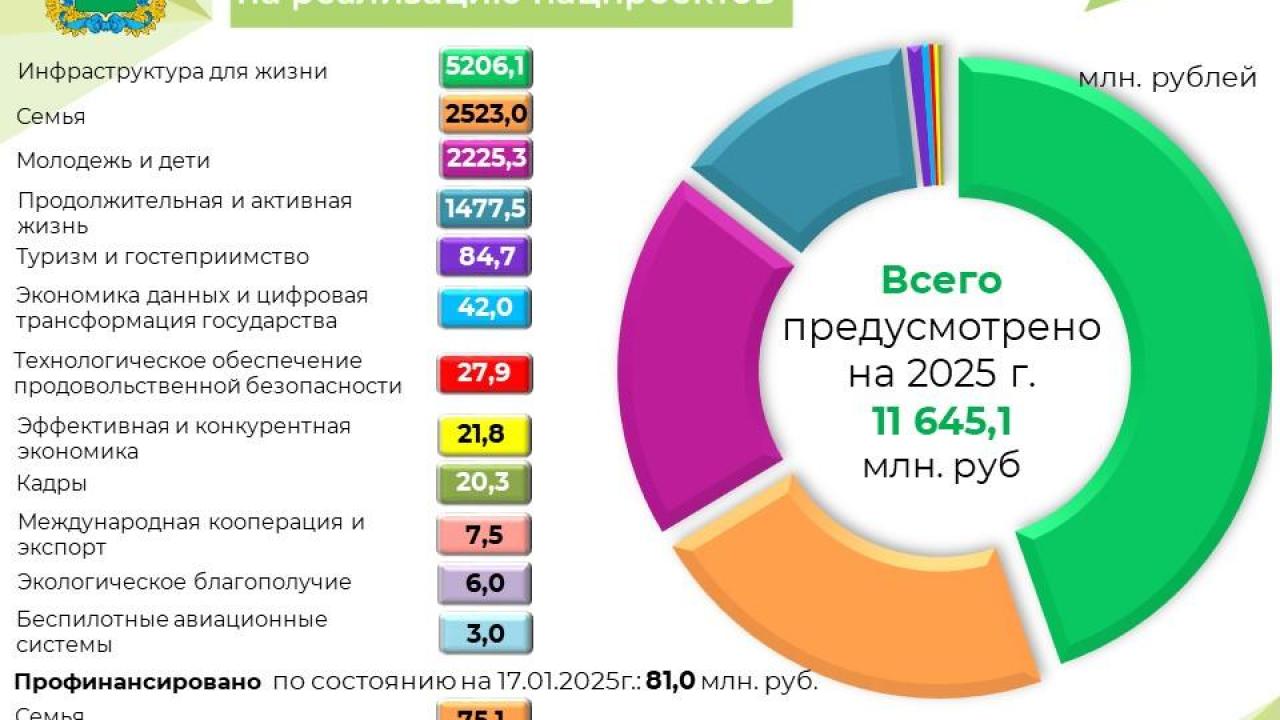 Исполнение расходов областного бюджета на реализацию национальных проектов в 2025 году по состоянию на 17 января 2025 года — Настоящий Обнинск