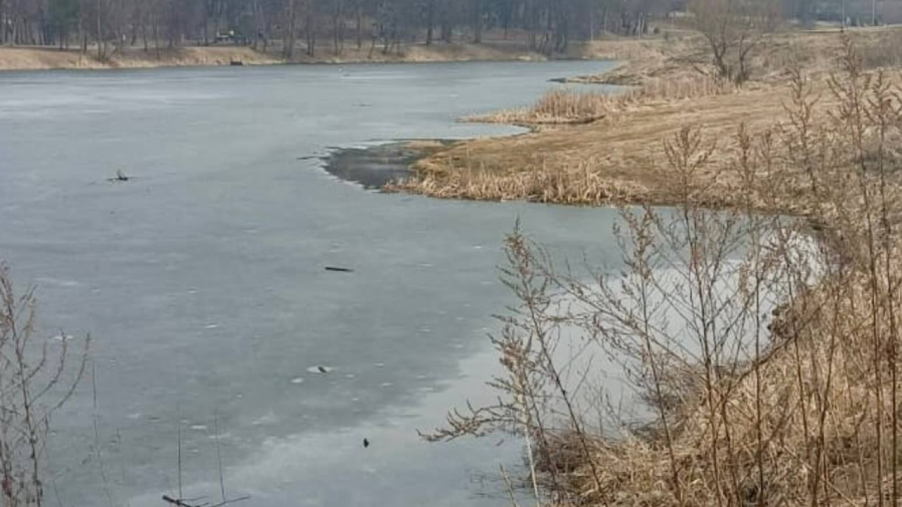 Выход на тонкий лёд водоёмов в Обнинске запрещён из-за весеннего потепления — Настоящий Обнинск