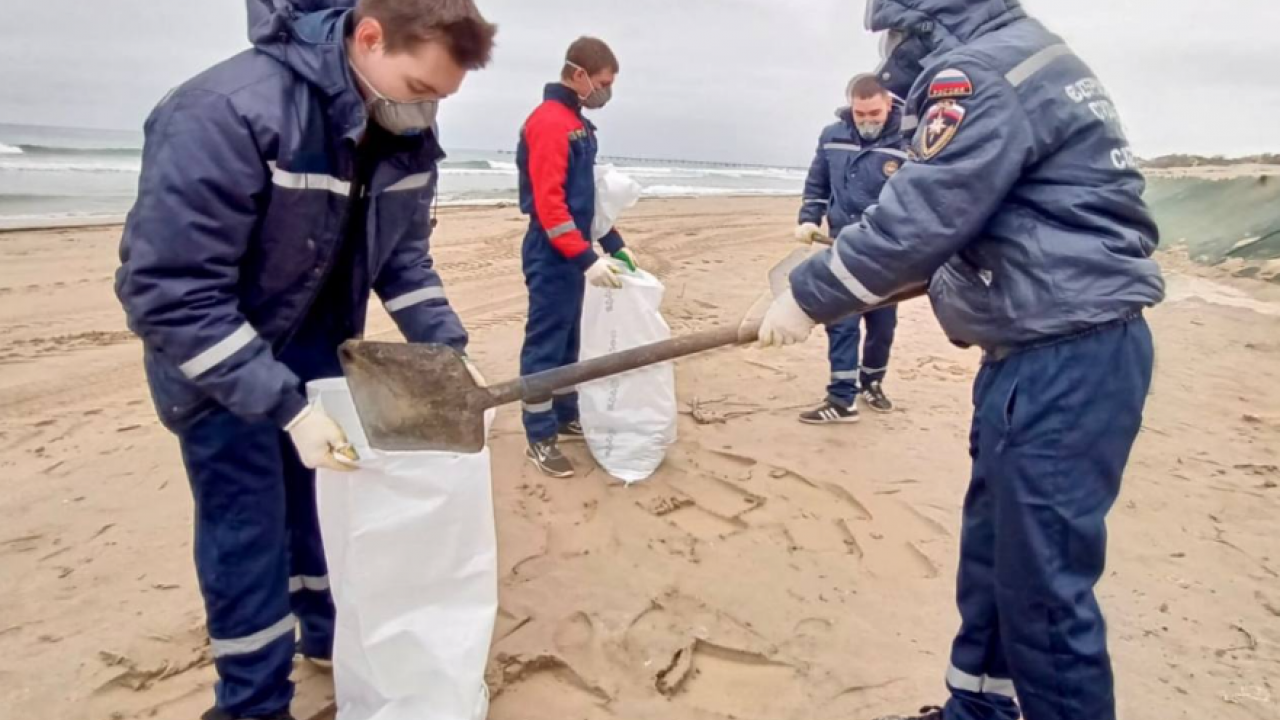 Обнинские добровольцы участвуют в ликвидации последствий разлива мазута на побережье Анапы — Настоящий Обнинск