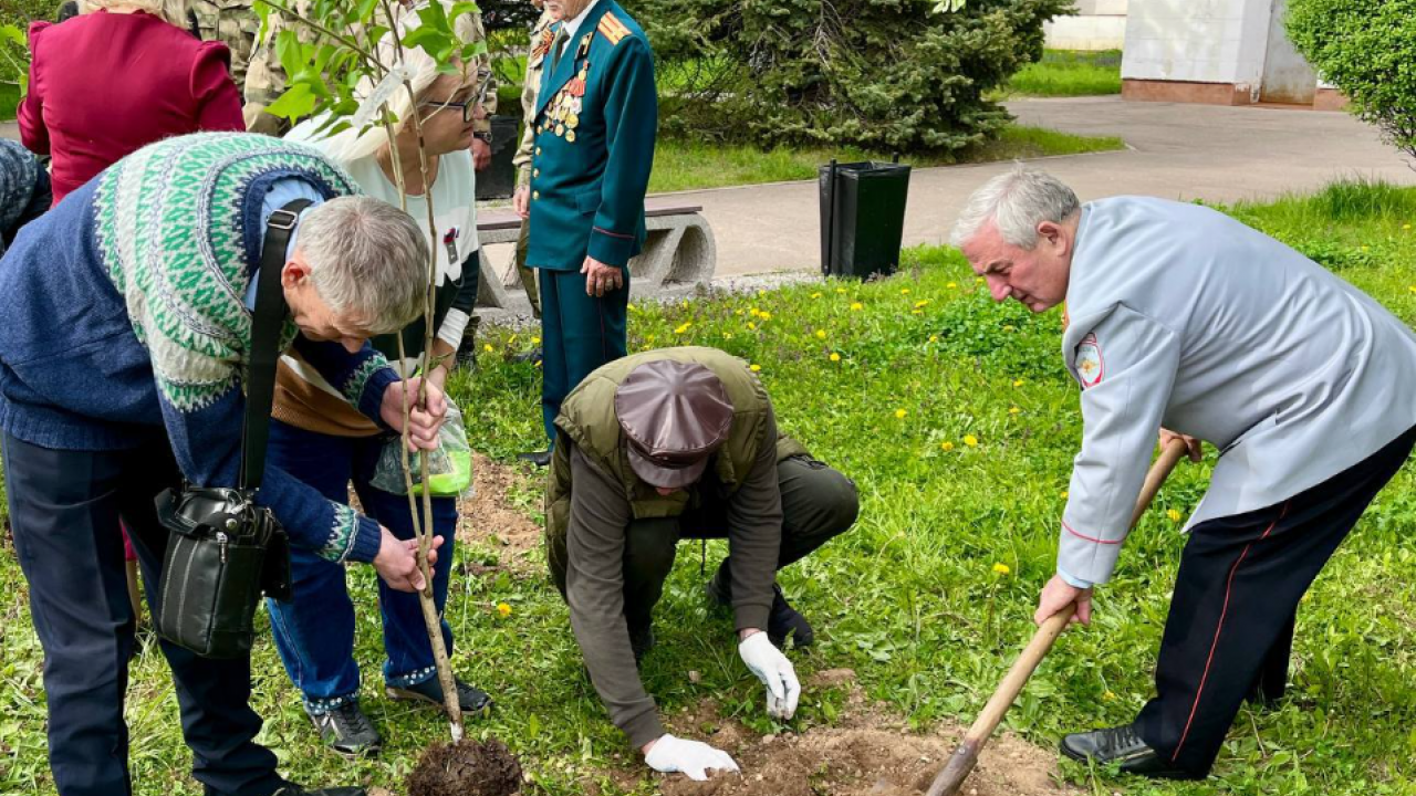 У Музея истории города высадили «Сирень Победы» в честь маршала Соколовского — Настоящий Обнинск