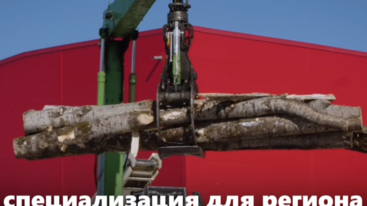 В Калужской области создан уникальный лесопромышленный кластер: переработка низкосортной древесины — мировая инновация — Настоящий Обнинск