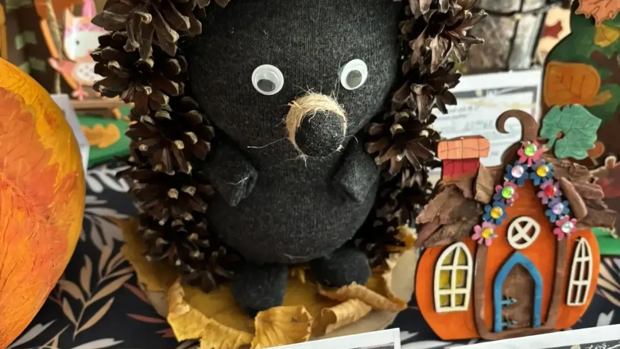 В Обнинске проходит конкурс поделок из природных материалов «Лешишка-2026» — Настоящий Обнинск
