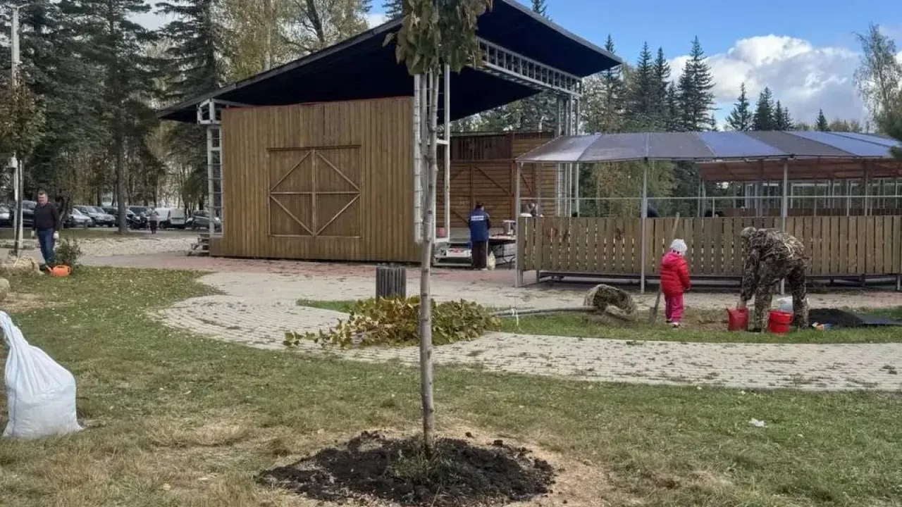 В Тарусе высадили 155 деревьев для новой липовой аллеи — Настоящий Обнинск