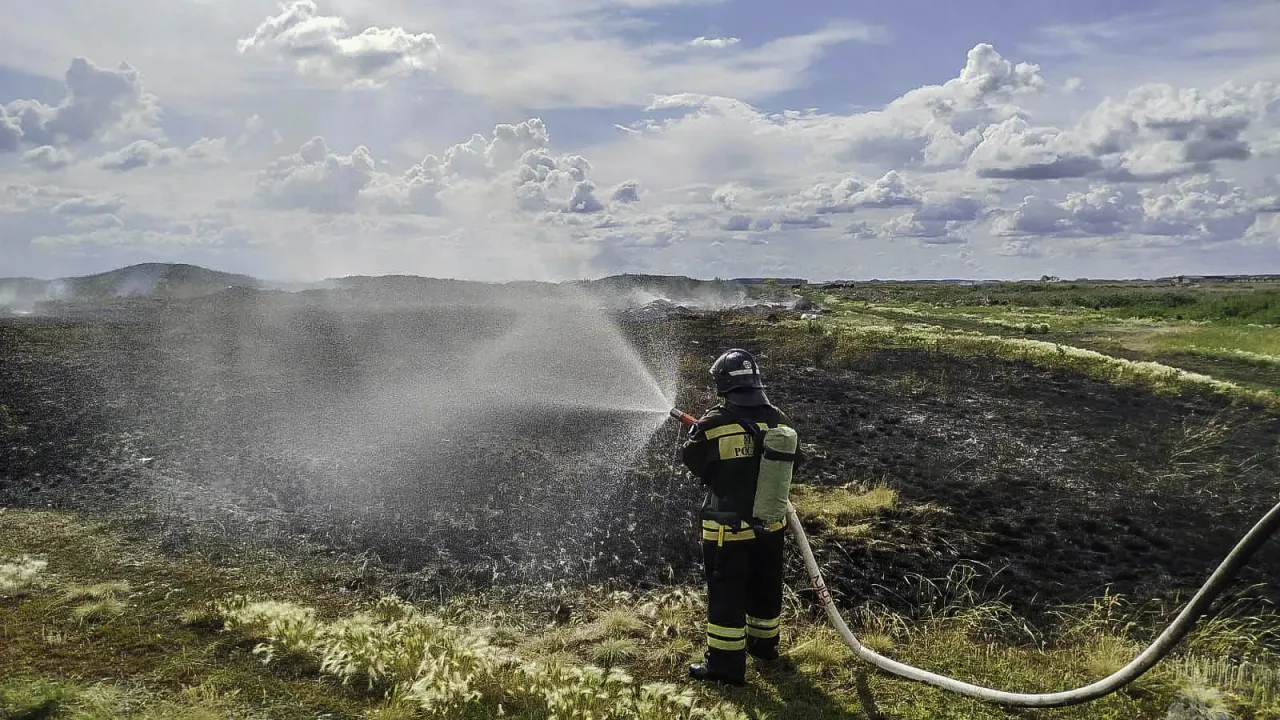 В Омской области с 1 августа произошло 296 пожаров, почти 40% — трава и мусо? — Омск Сейчас