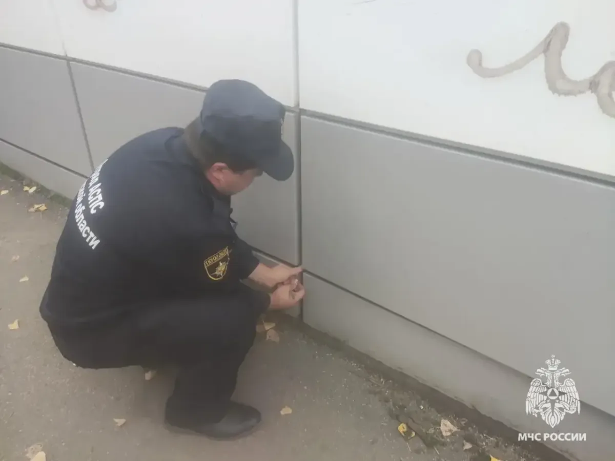 За сутки в Орловской области пожарные 14 раз выезжали на вызовы
