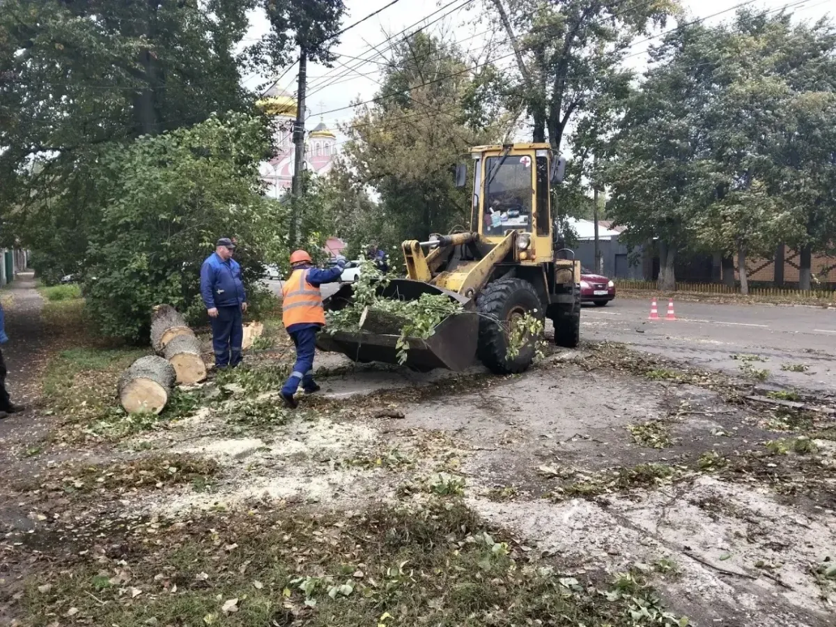 В Орле «Спецавтобаза» устраняет последствия сильного ветра и поваленных деревьев