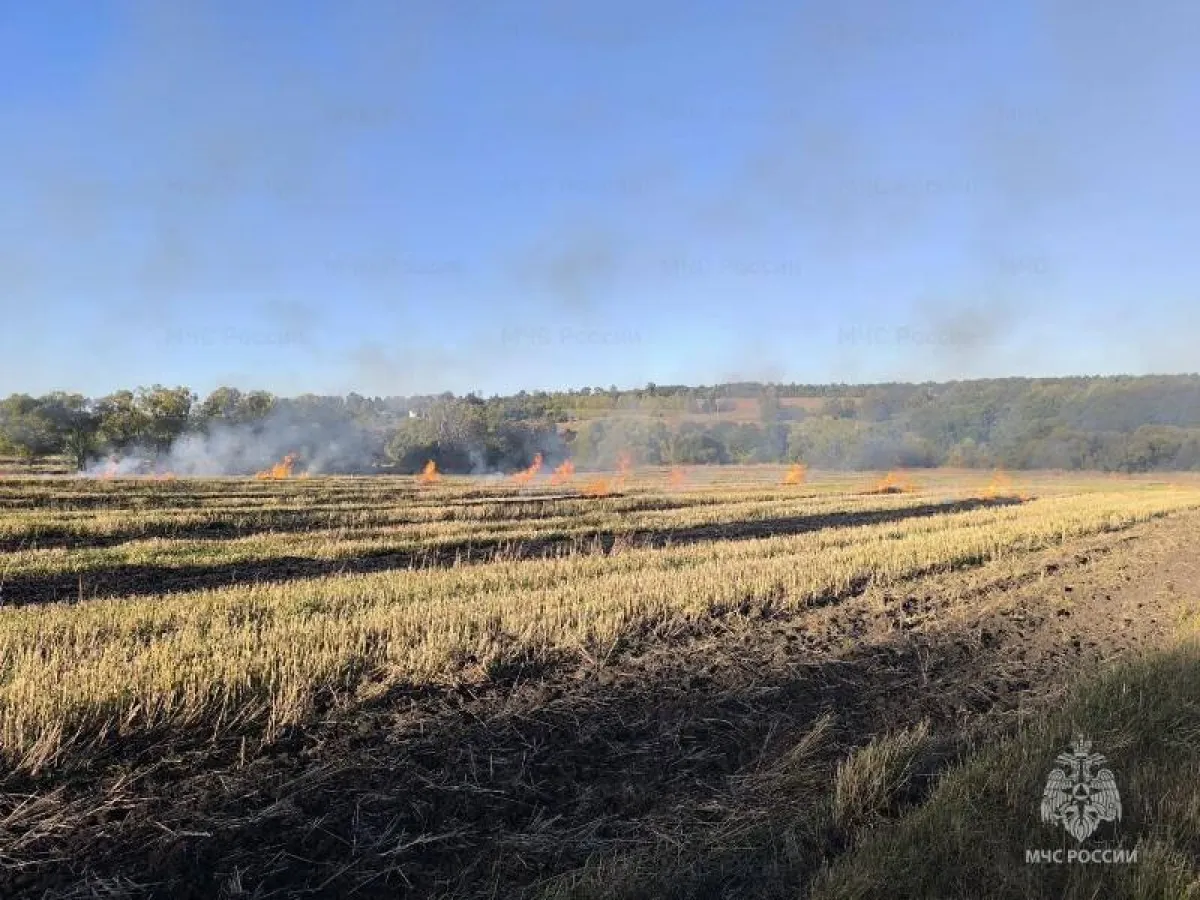 В Орловском округе при пожаре в квартире погиб мужчина, эвакуированы 15 жильцов