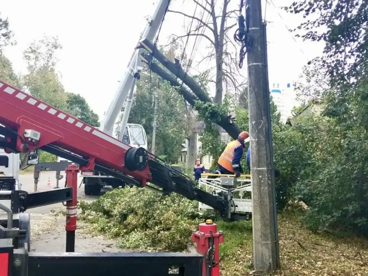 В Орле «Спецавтобаза» устраняет последствия сильного ветра и поваленных деревьев
