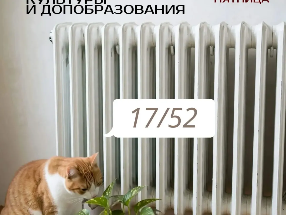 В Орле отапливаются все школы, тепло получили 44% жилого фонда