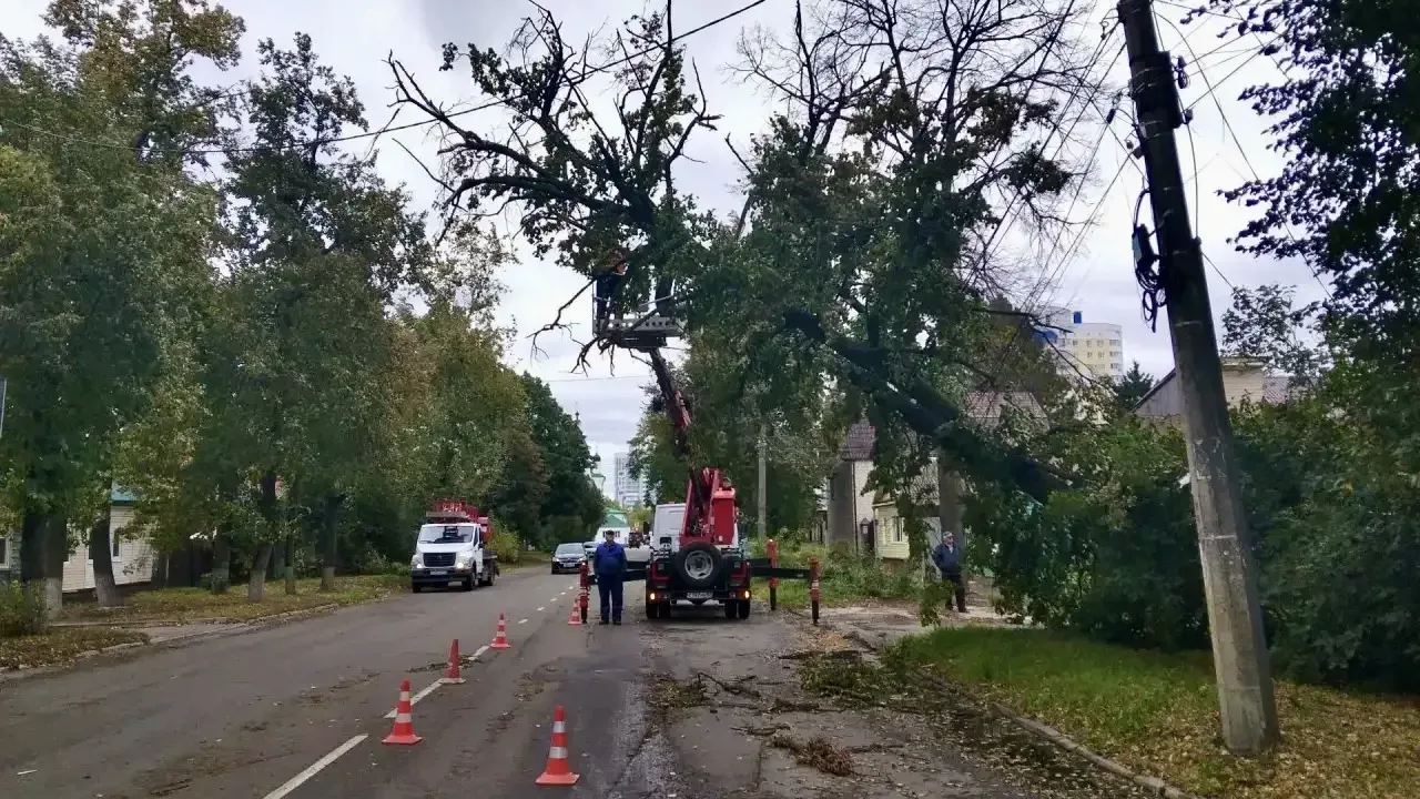 В Орле «Спецавтобаза» устраняет последствия сильного ветра и поваленных деревьев — Орёл Сейчас