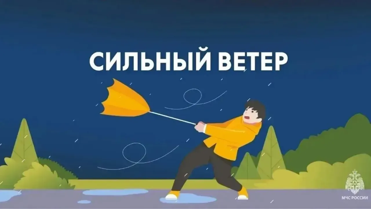 В Орловской области ожидаются грозы и порывы ветра до 20 м/с — Орёл Сейчас