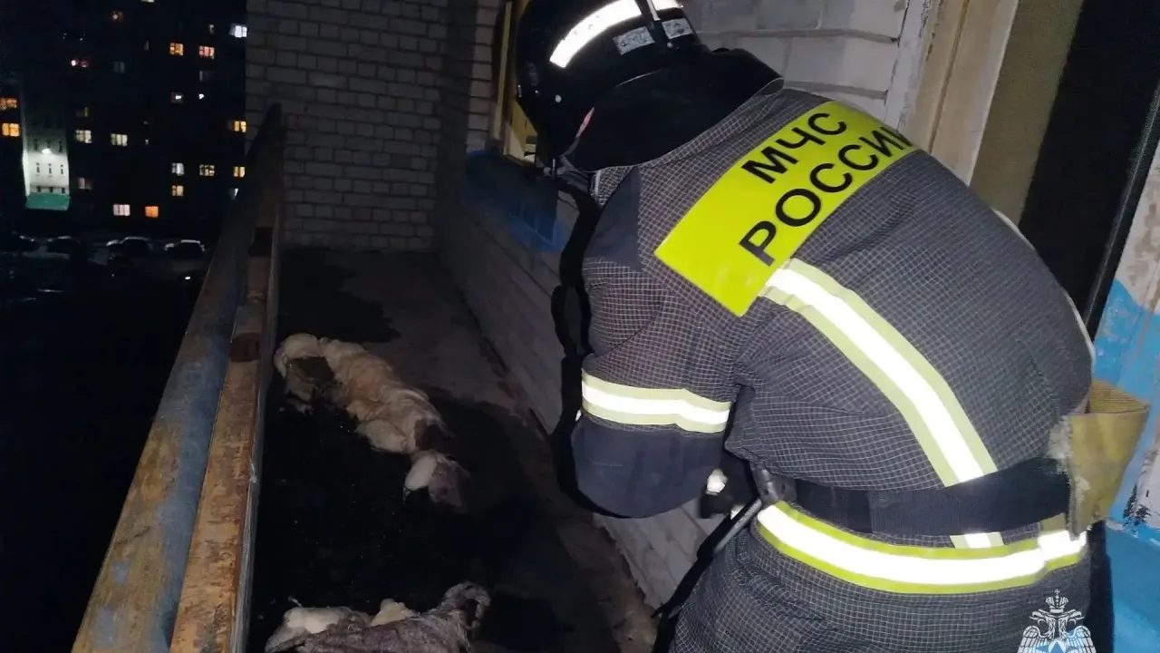 В Орле на пожаре в квартире спасли мужчину и эвакуировали 10 человек — Орёл Сейчас