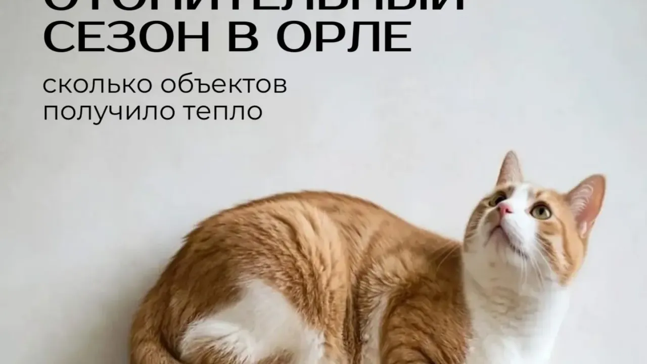 В Орле отапливаются все школы, тепло получили 44% жилого фонда — Орёл Сейчас