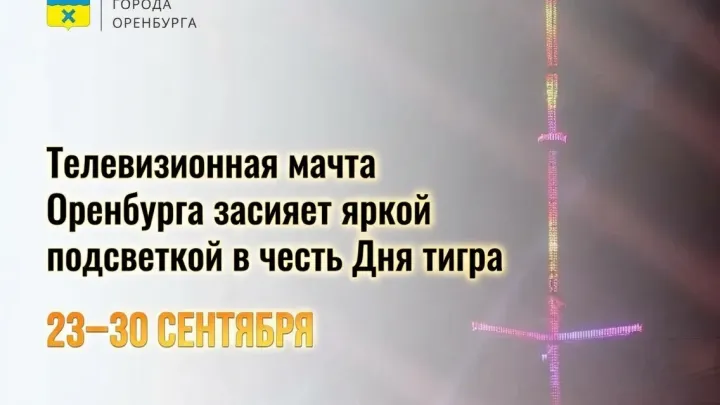 Телевизионная мачта Оренбурга засияет оранжевой подсветкой в честь Дня тигра — Оренбург Сейчас