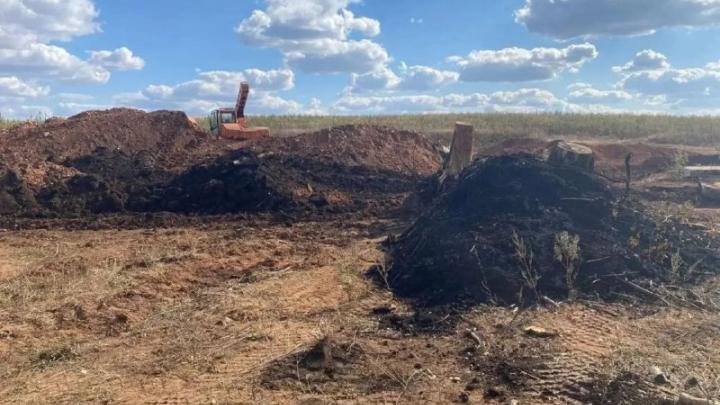 В Оренбуржье с организации взыскали более 20 млн рублей за ущерб почвам — Оренбург Сейчас