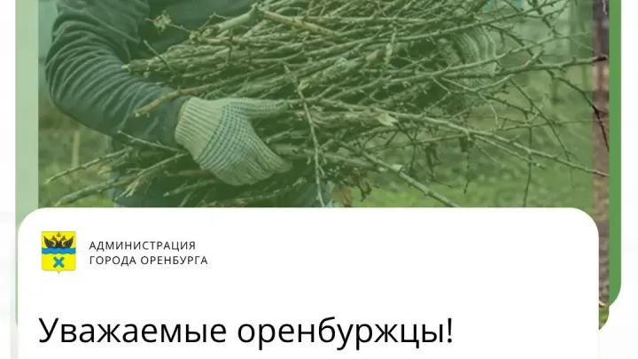 В Оренбурге организовали бесплатный вывоз растительных отходов до 25 октября — Оренбург Сейчас