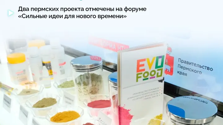 Два проекта из Пермского края вошли в топ-300 форума «Сильные идеи» — Пермь Сейчас