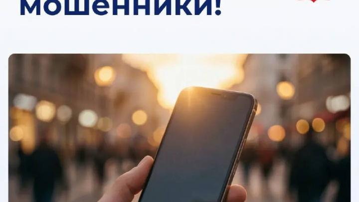 Администрация Перми предупредила о массовых звонках от мошенников — Пермь Сейчас