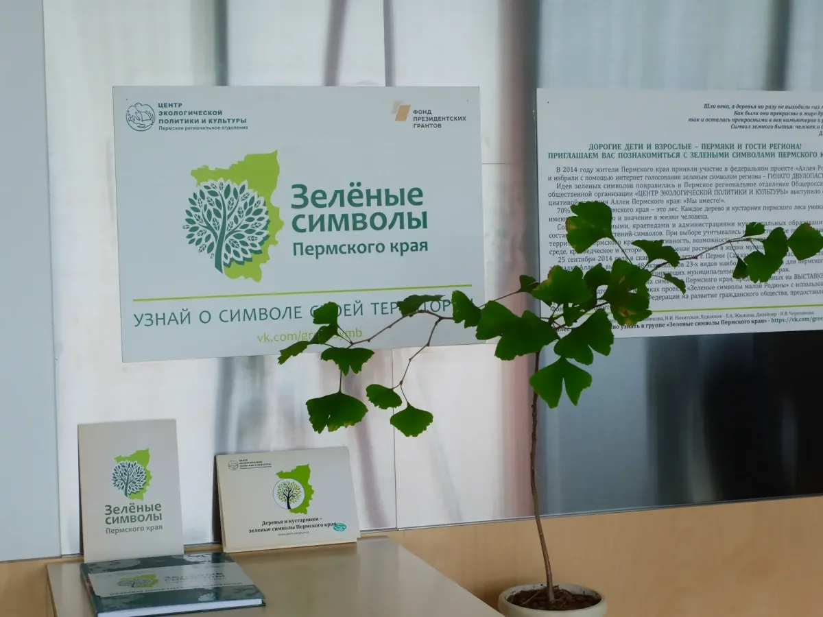 В Серебрянском парке Перми открыли визит-центр «Зеленого кольца»