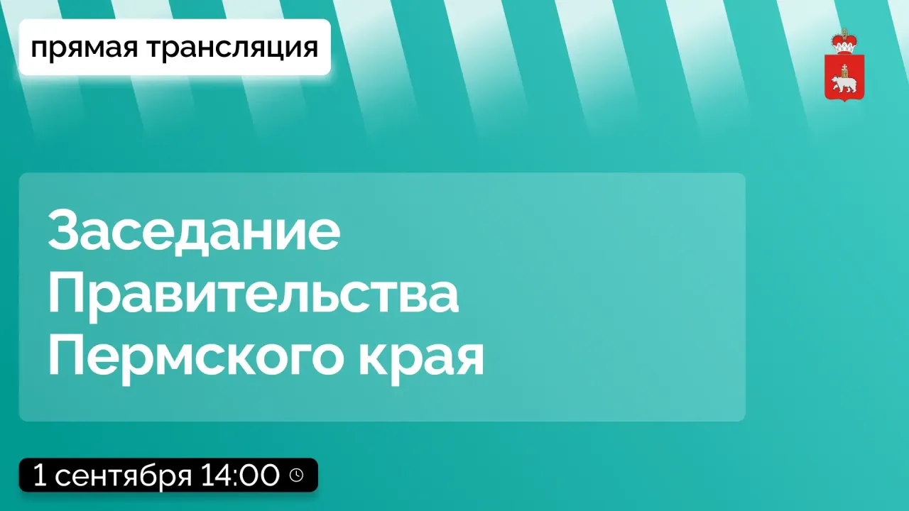 Заседание Правительства Пермского края по вопросам образования пройдет 1 сентября — Пермь Сейчас