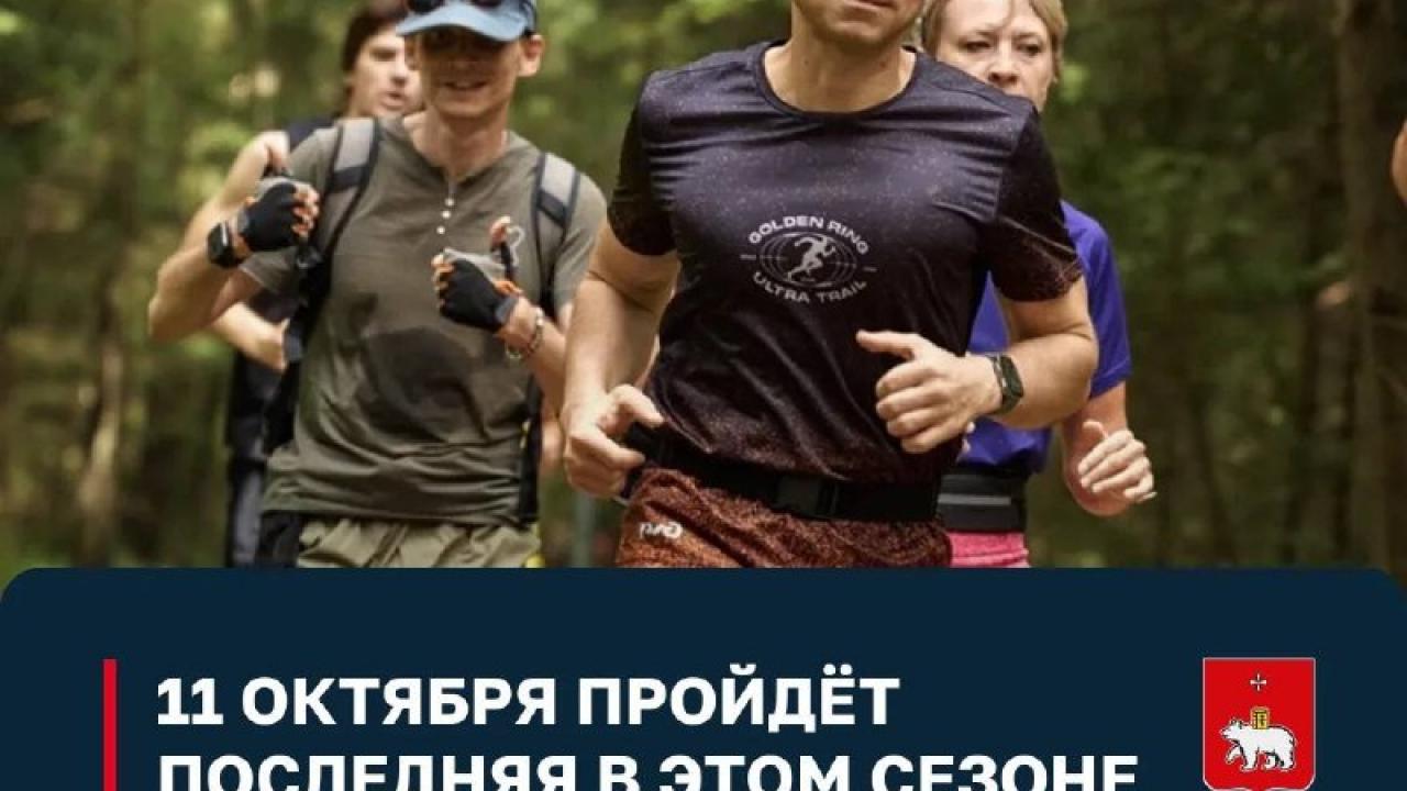 В Черняевском лесу пройдет беговая эколого-просветительская прогулка — Пермь Сейчас