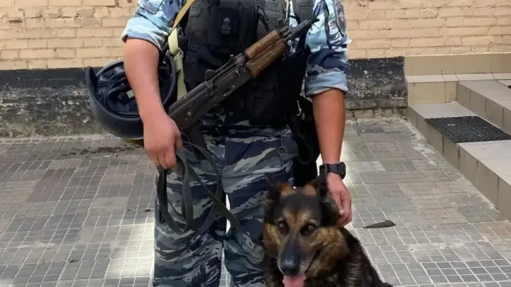 В Новочеркасске по горячим следам раскрыли кражу телёнка с фермы — Ростов-на-Дону Сейчас
