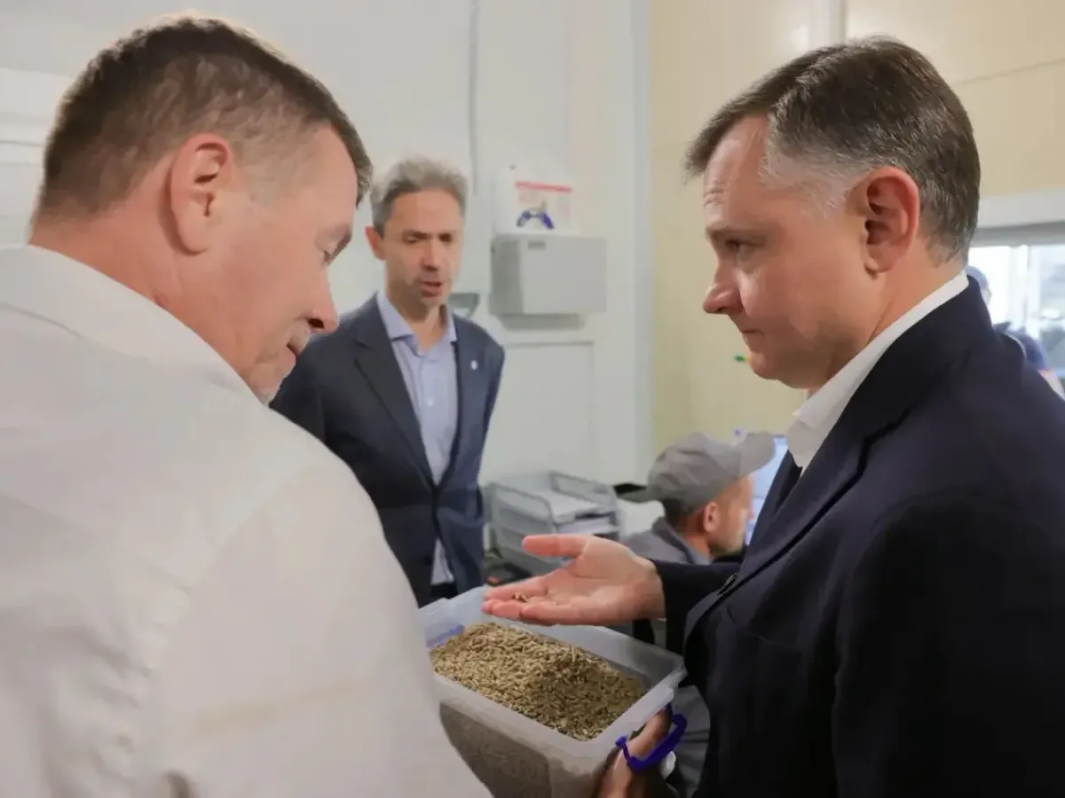 В Ростовской области поддержат проекты по переработке сельхозпродукции